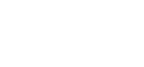SELINEM